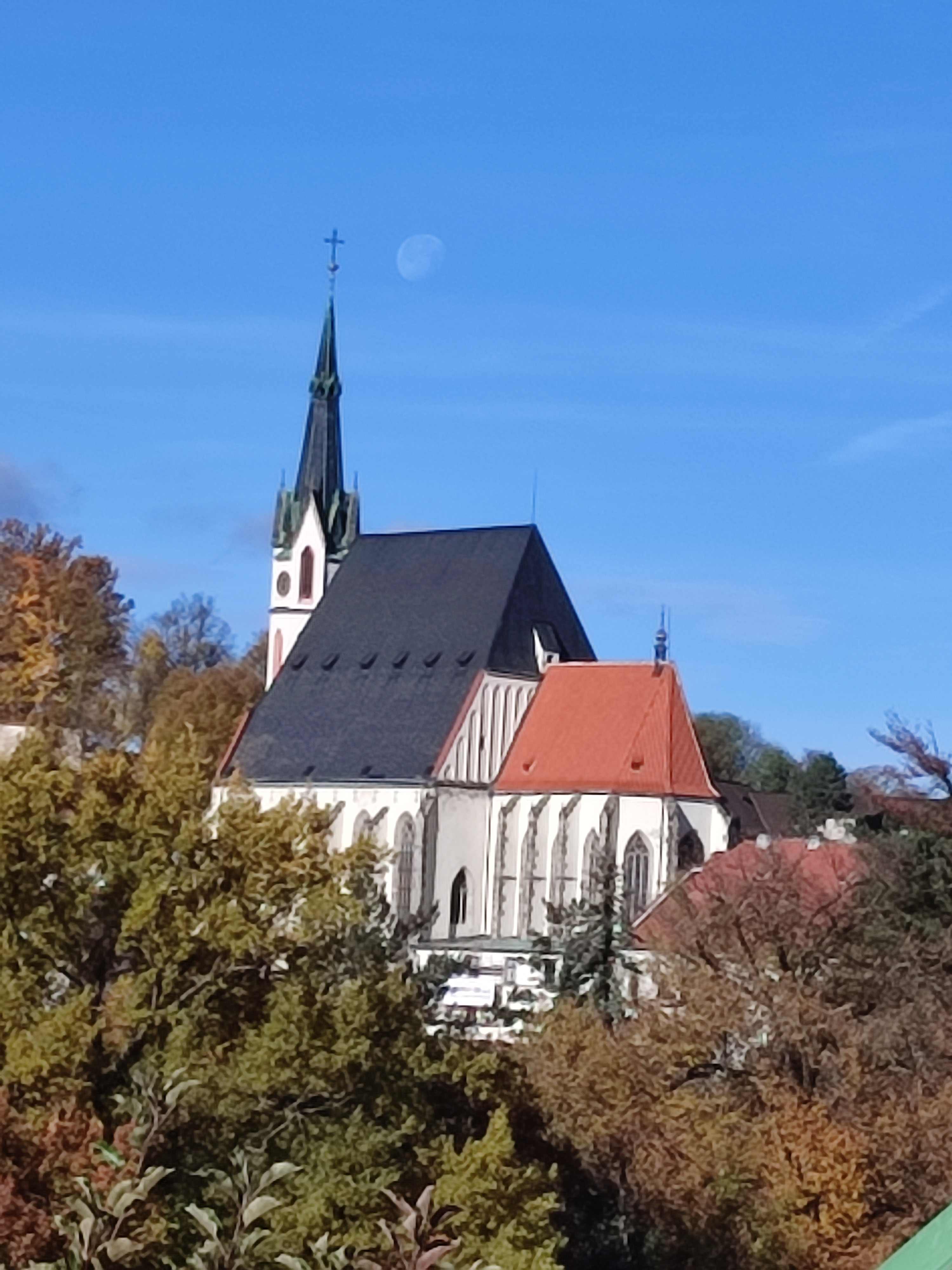 IMG 20231101 101612.jpg