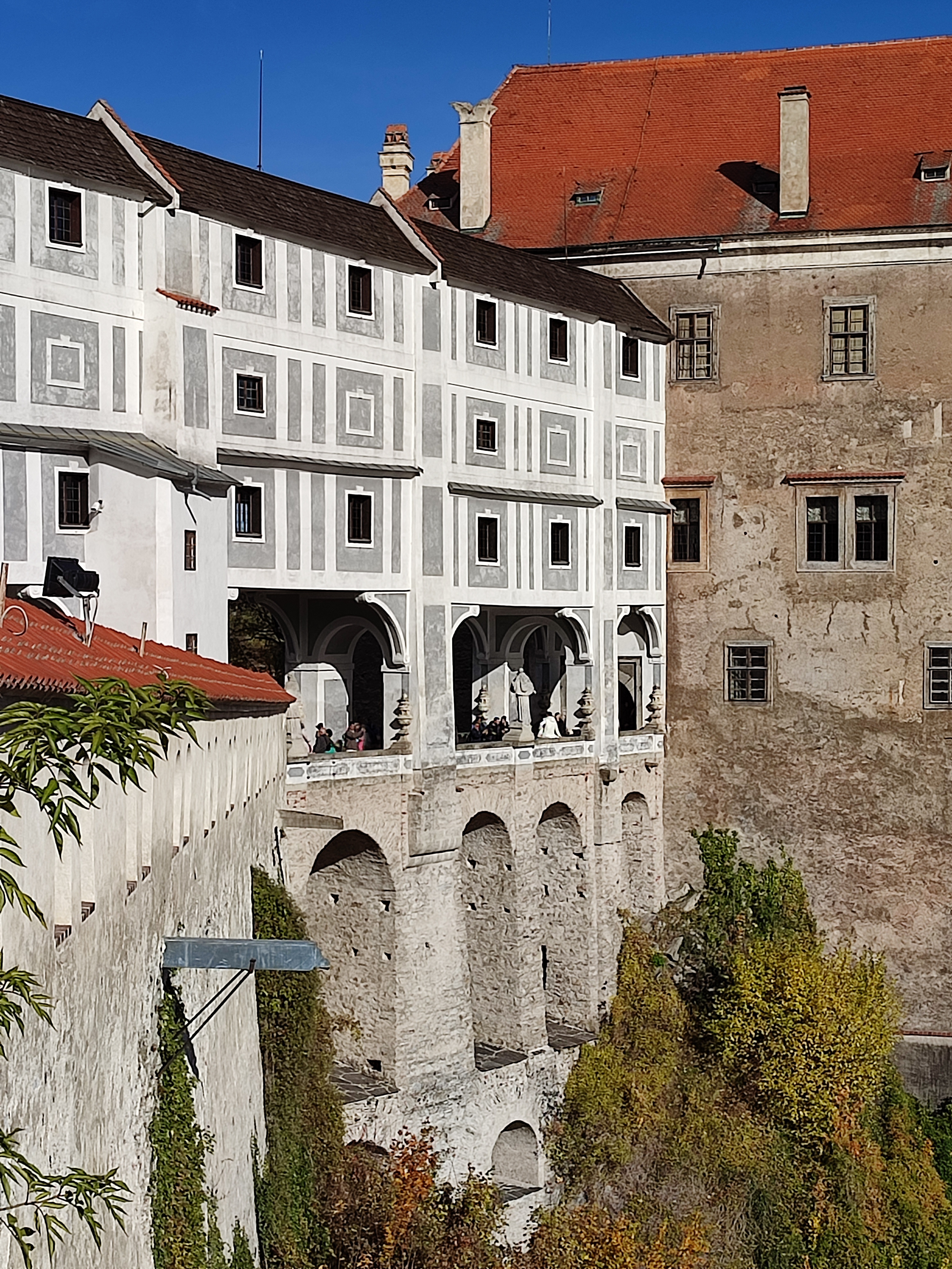 IMG 20231101 130341.jpg