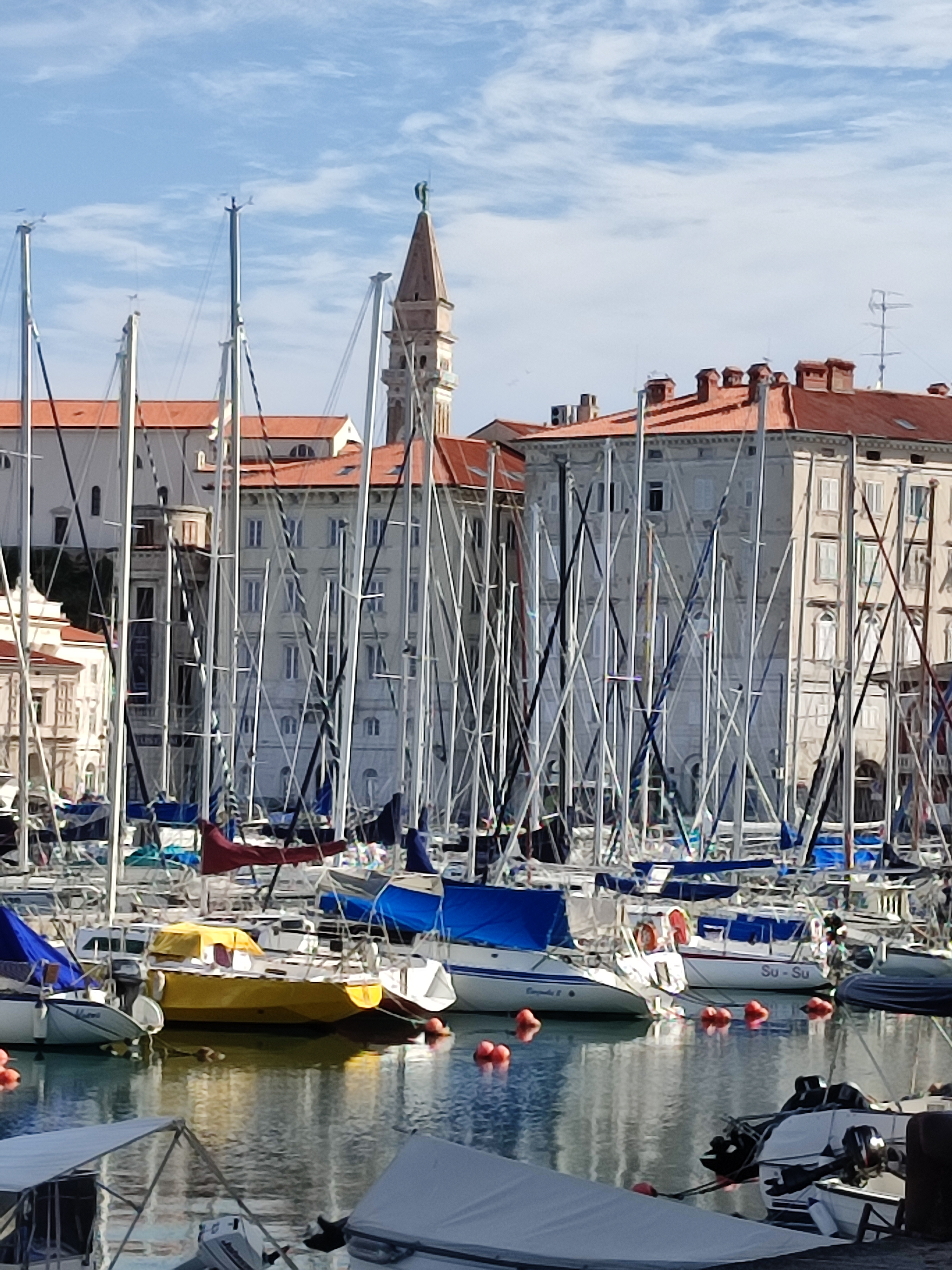 IMG 20230728 085531.jpg